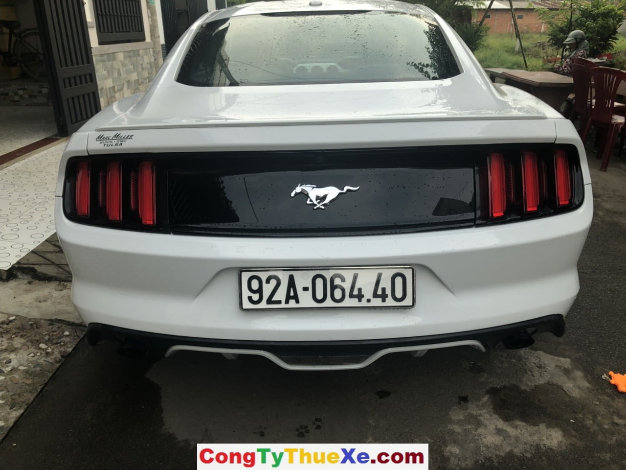 Thuê xe hoa Ford Mustang (1)